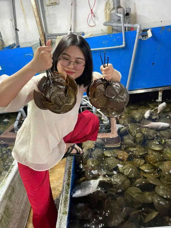 hải sản sam trứng tươi ngon