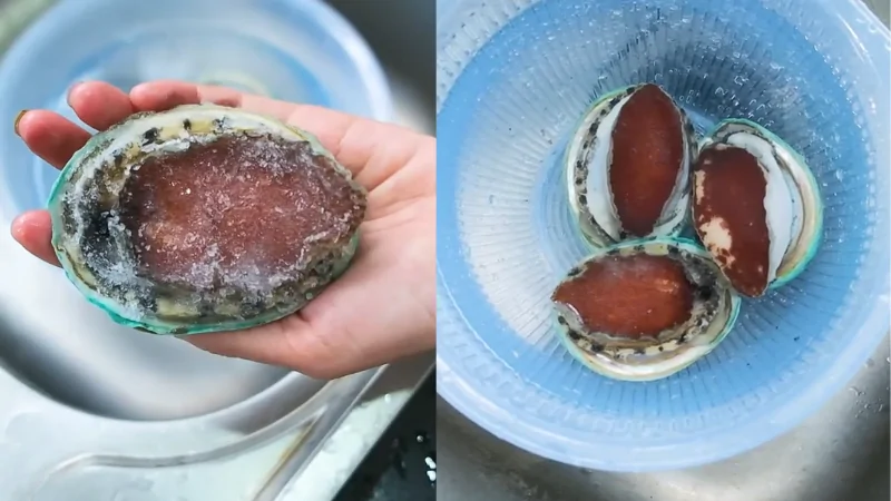 Sơ chế bào ngư đông lạnh