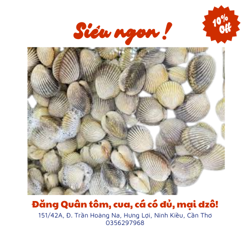 Sò cò Phú Quốc