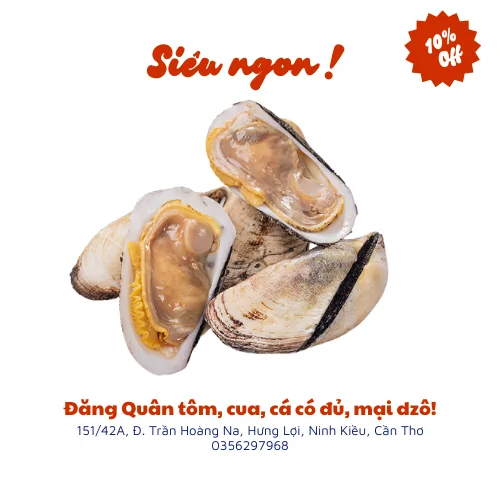 Sò dẹo
