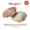 Sò điệp Nhật