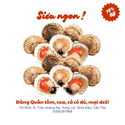 Sò điệp