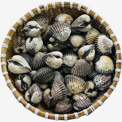 Sò huyết