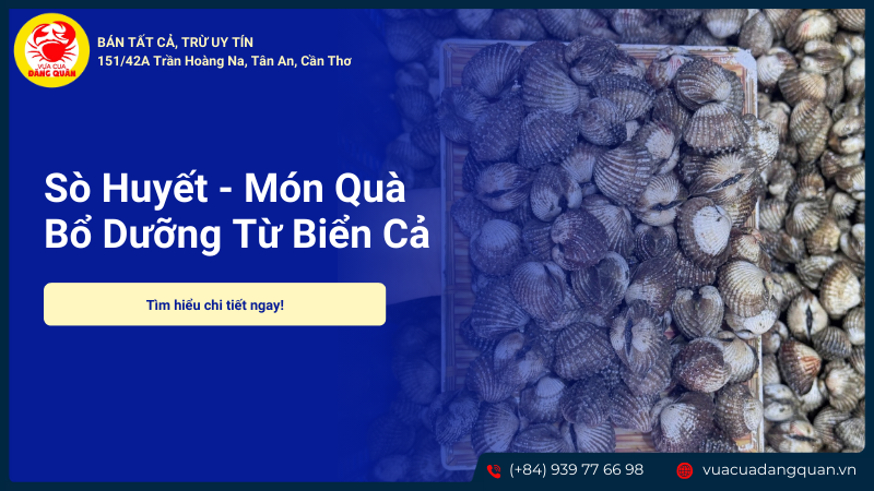 Món sò huyết tươi sống, món quà từ biển cả