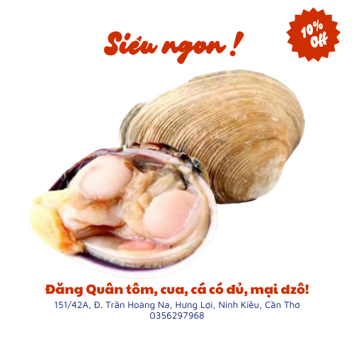 Sò tộ