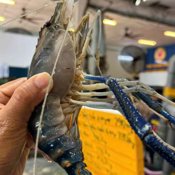 Tôm càng xanh Đăng Quân tươi ngon