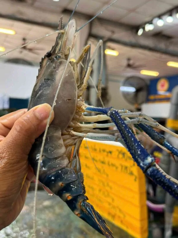 Tôm càng xanh Đăng Quân tươi ngon