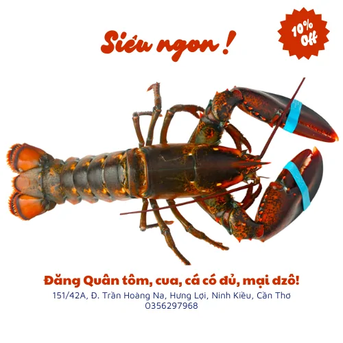 Tôm hùm alaska