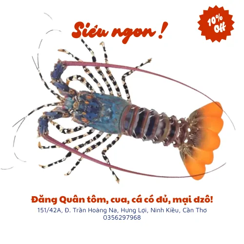Tôm hùm bông