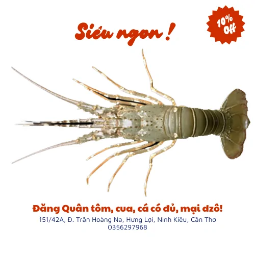 Tôm hùm tre