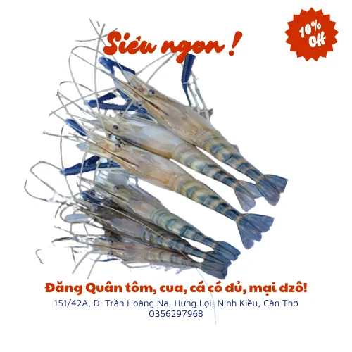 Tôm lóng