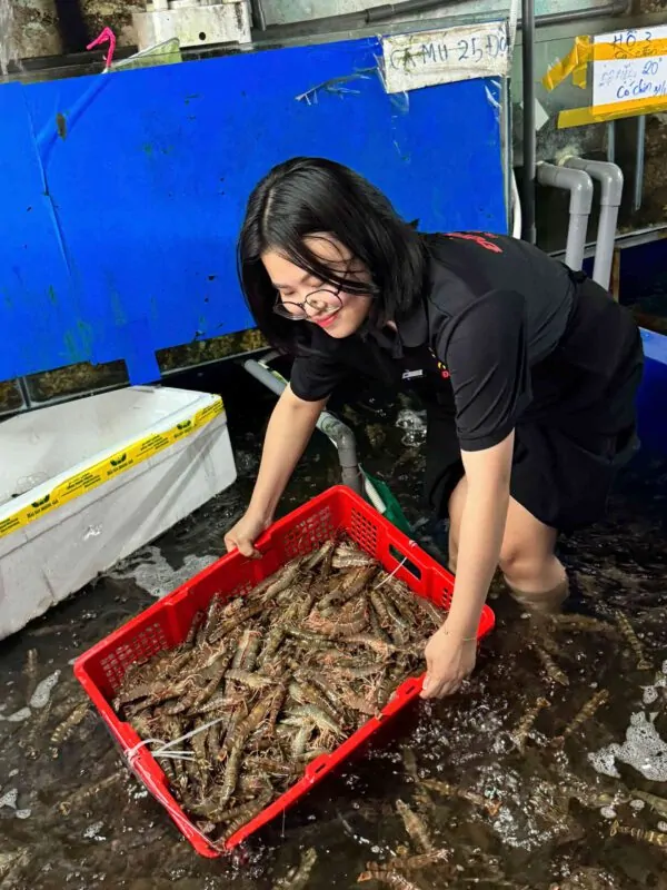 Tôm sú chiên giòn – món ăn vặt hấp dẫn cho bé