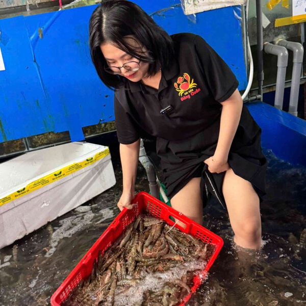 Vựa Hải sản Cần Thơ Đăng Quân – nơi bạn tìm thấy tôm sú ngon nhất