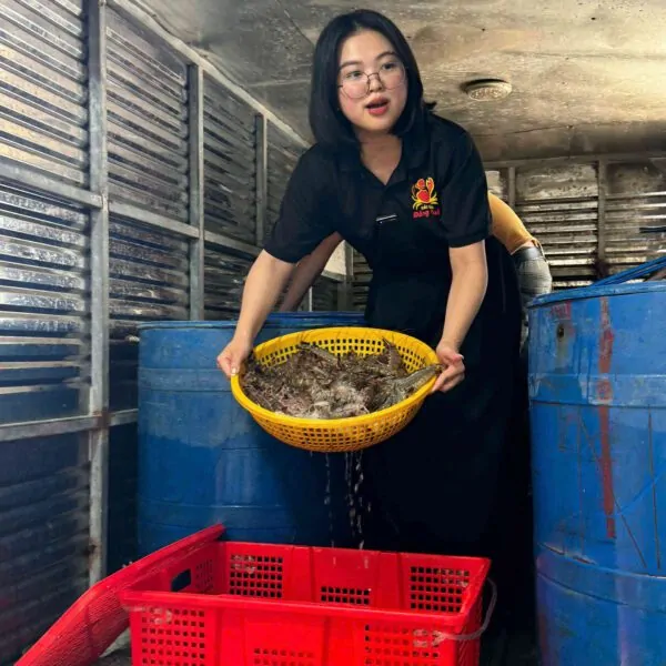Tôm sú tươi rói vừa đánh bắt lên bờ