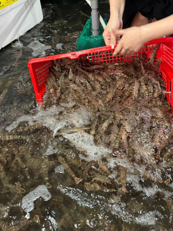 Tôm sú nướng phô mai – phá cách cho thực đơn cuối tuần