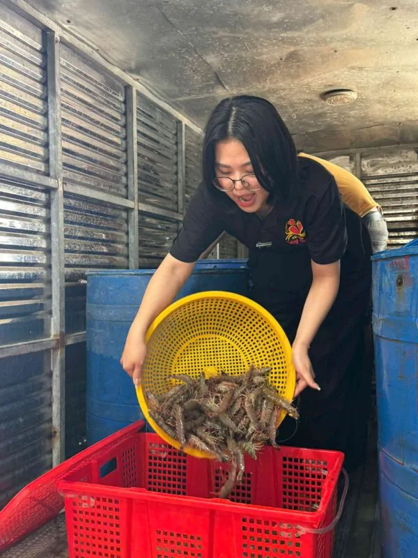 Hải sản Cần Thơ Đăng Quân chuyên cung cấp tôm sú chất lượng
