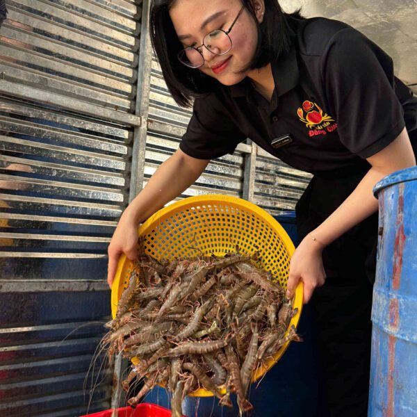 Vẻ đẹp nguyên bản của tôm sú tươi sống