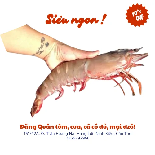 Tôm sú biển khủng
