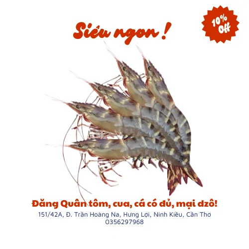 Tôm sú