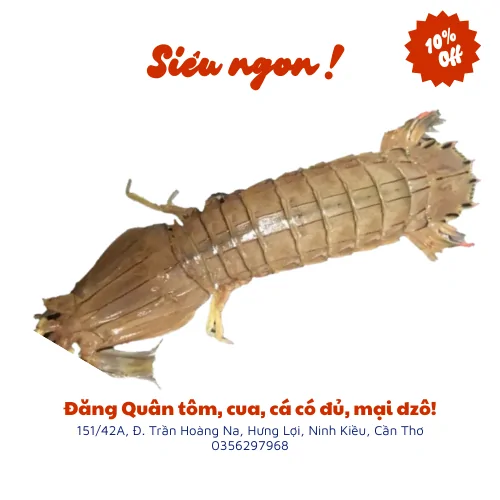 Tôm tích