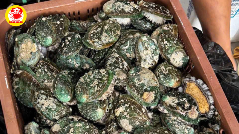 Tốt cho sức khỏe tim mạch và não bộ Tốt cho sức khỏe tim mạch và não bộ