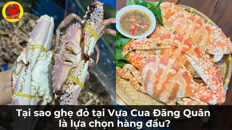 Tại sao nên chọn mua ghẹ đỏ tại Vựa Cua Đăng Quân?