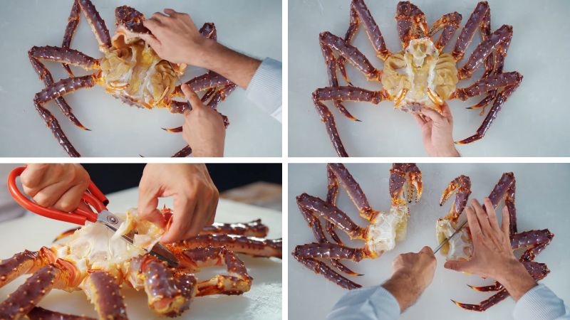 Sơ chế cua hoàng đế Sơ chế cua hoàng đế