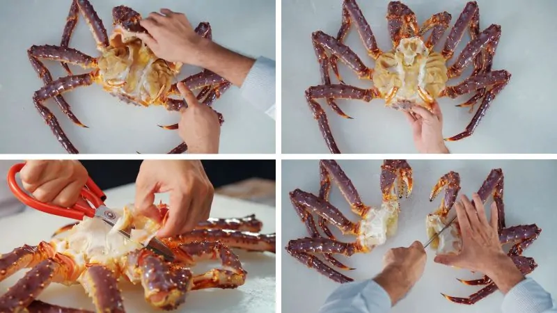 Sơ chế món sashimi cua hoàng đế