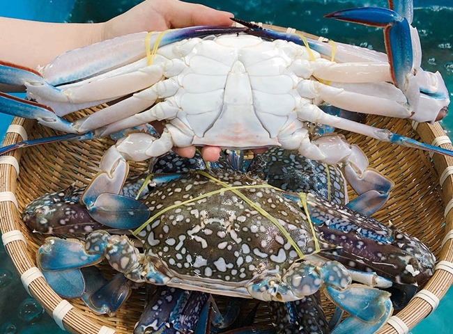 4 bước làm ghẹ xanh hấp 4 bước làm ghẹ xanh hấp