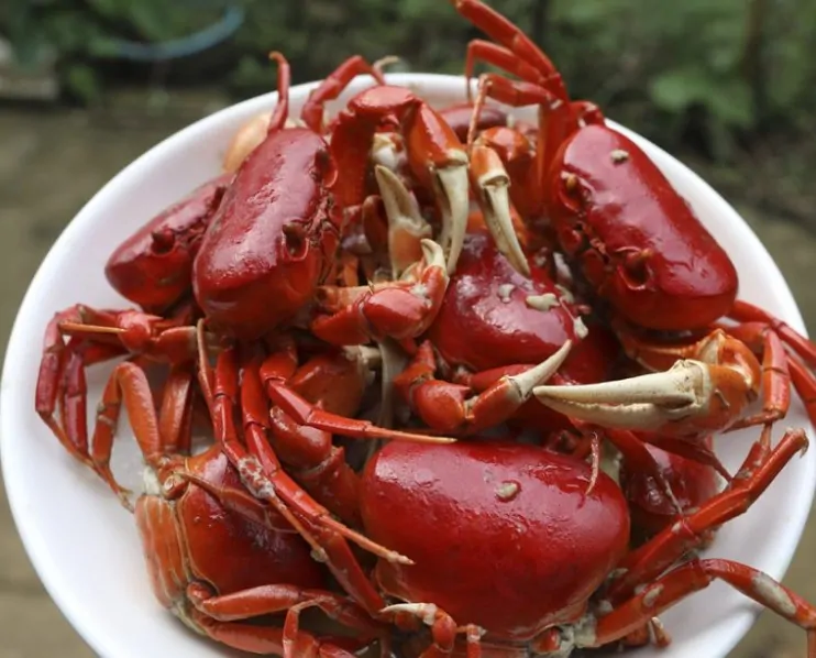 Cua đỏ sốt bơ tỏi
