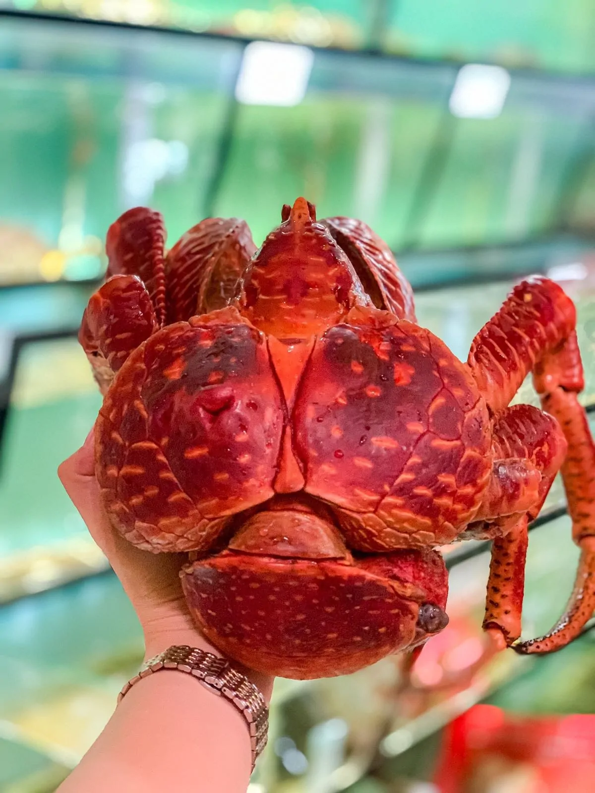 Cua dừa hấp
