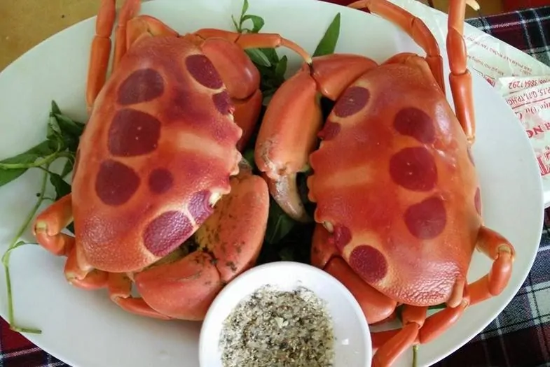 Cua mặt trăng hấp
