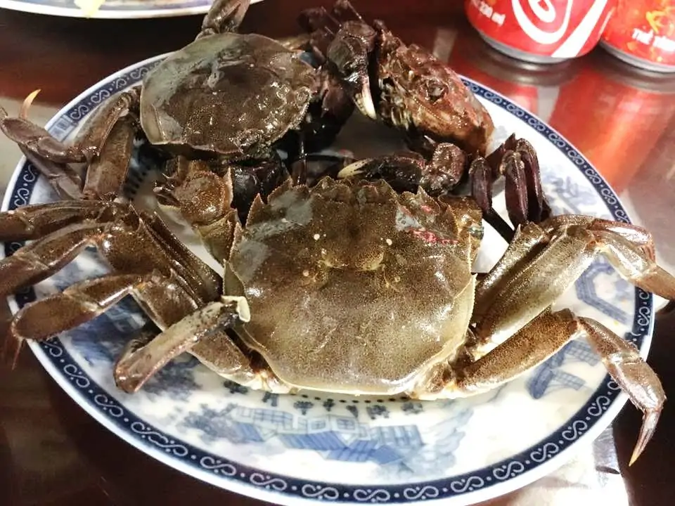 Cua sông