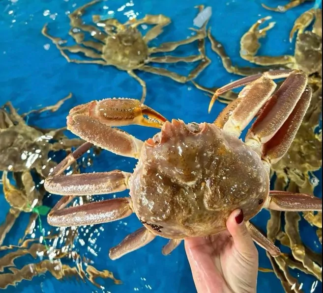 Cua tuyết tươi sống