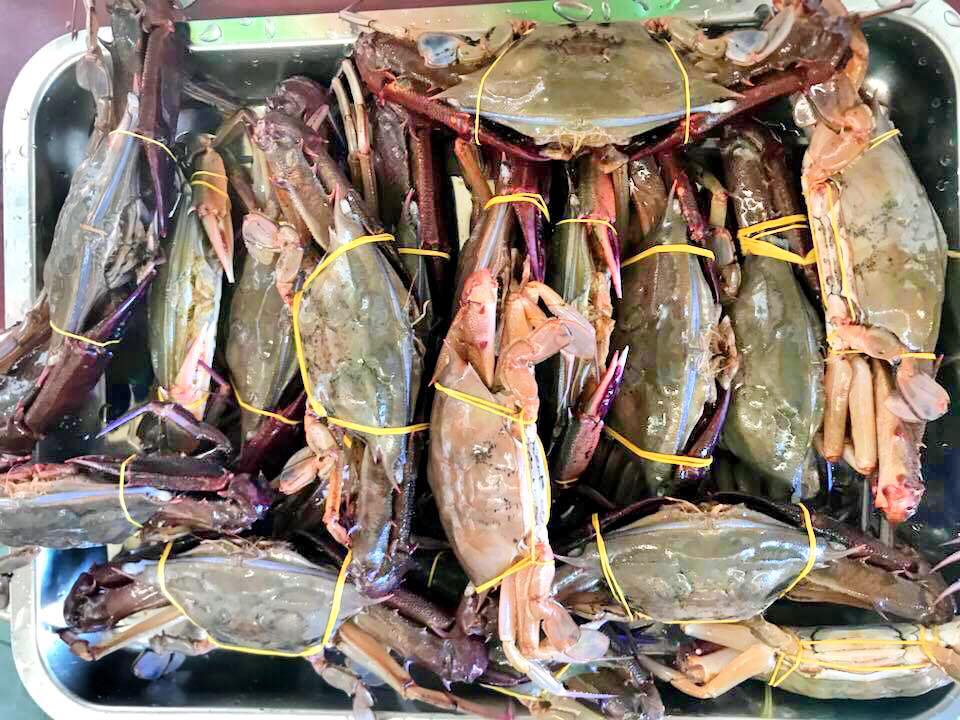 Ghẹ mắt dài giàu dinh dưỡng