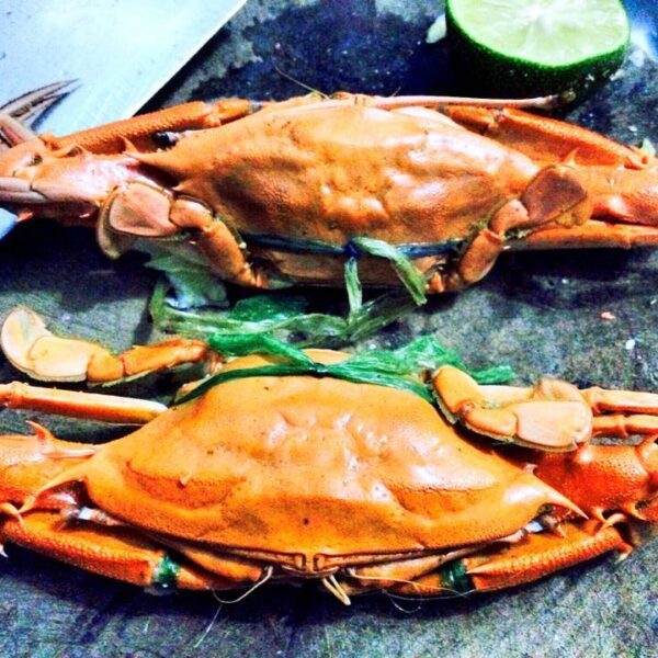 Ghẹ mắt dài hấp bia