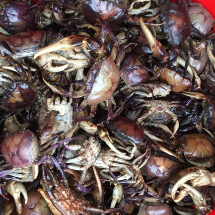 Cua đồng sản phẩm