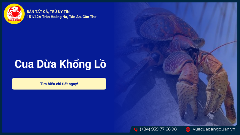Cua dừa khổng lồ sản phẩm