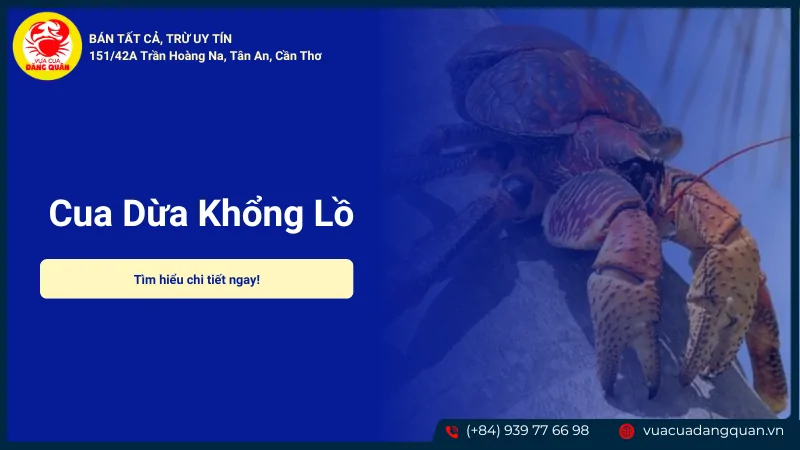 Cua dừa khổng lồ sản phẩm