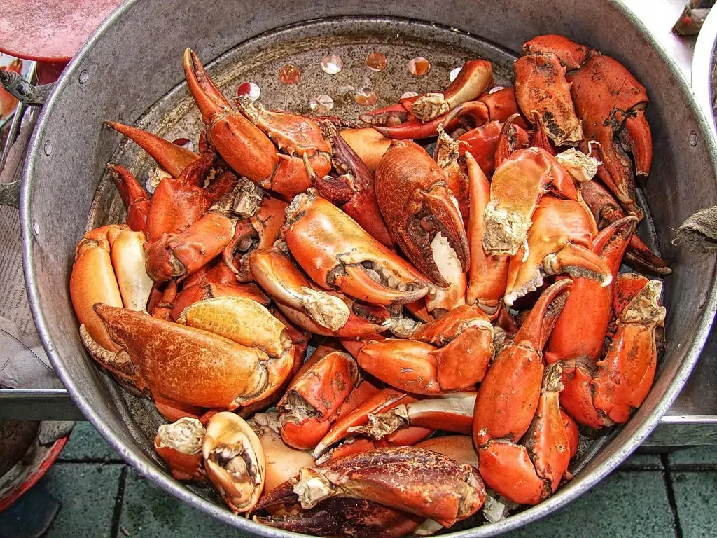 Chuẩn bị càng cua