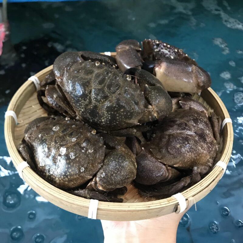 Chuẩn bị cua đá