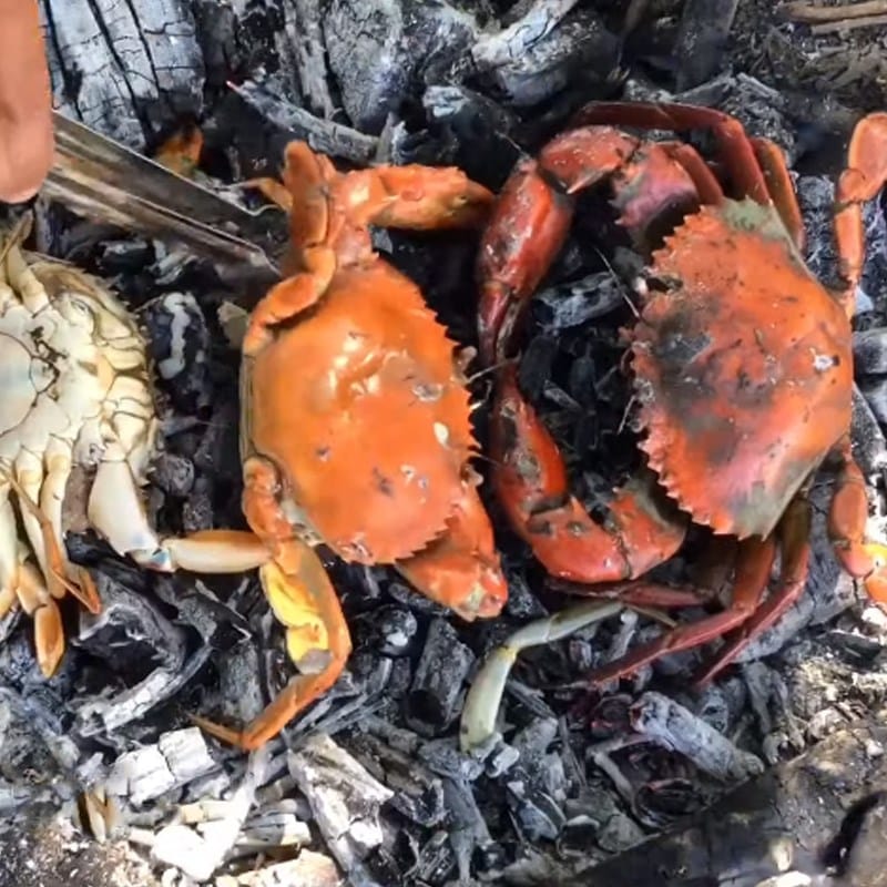 Cua đá nướng mọi