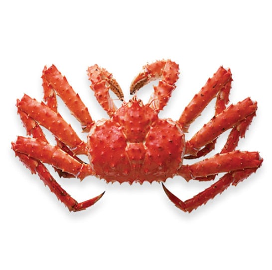 Cua King Crab là gì?