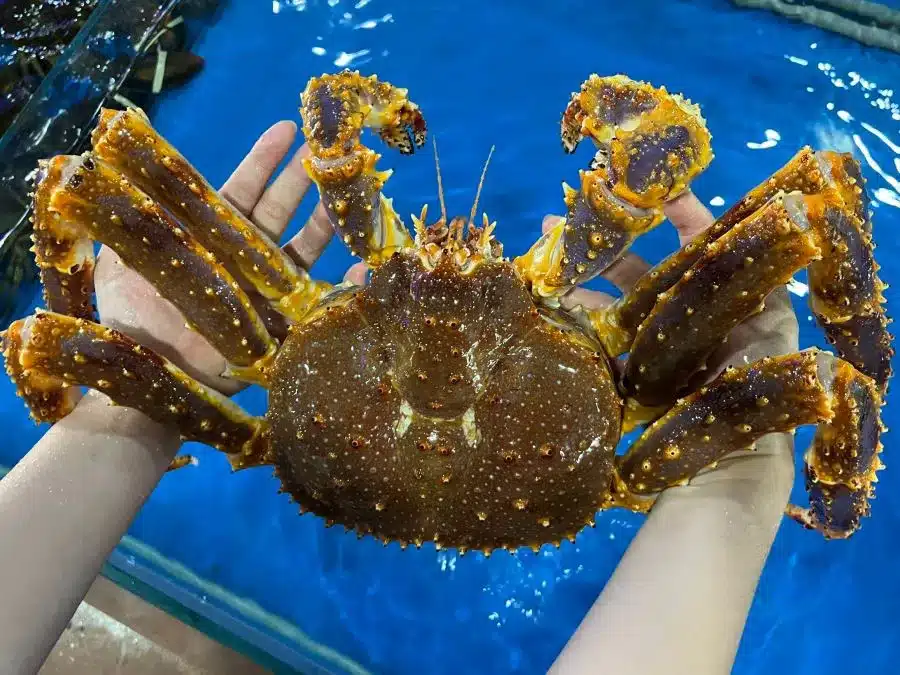 Tại sao cua King Grab đắt đỏ