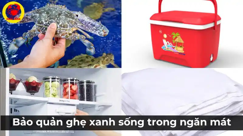 Cách bảo quản ghẹ xanh sống trong ngăn mát tủ lạnh
