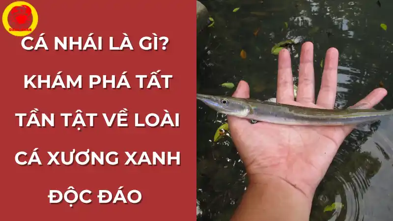 Cá nhái là gì - Khám phá tất tần tật về loài cá xương xanh đặc trưng