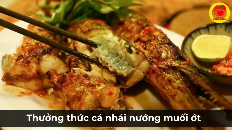 Đĩa cá nhái nướng muối ớt vàng ươm thơm lừng, ăn kèm rau răm và nước chấm.
