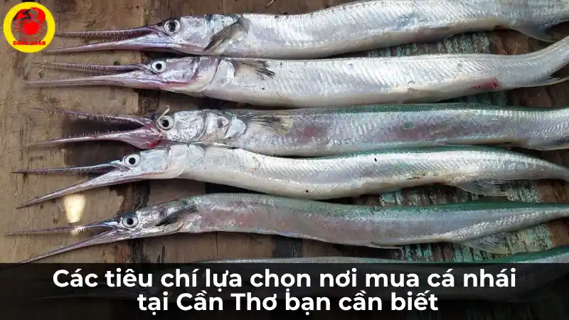 Đội ngũ Vựa Cua Đăng Quân đang tư vấn và báo giá cá nhái cho khách hàng