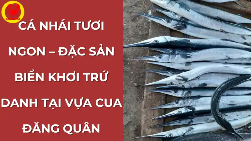 Cá nhái tươi sống nguyên con được cung cấp bởi Vựa Cua Đăng Quân.