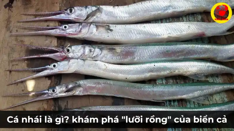 Cận cảnh những con cá nhái tươi sống nguyên con với chiếc mỏ dài đặc trưng.